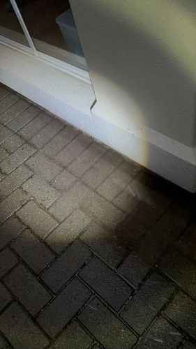 IMG_7333.JPG IMG_7333.JPG