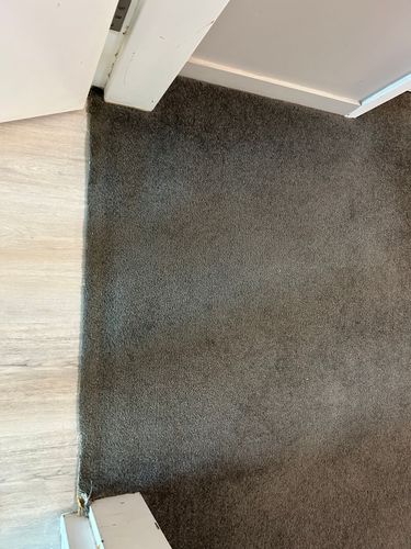 IMG_2124.jpeg IMG_2124.jpeg