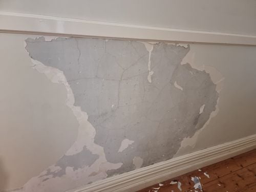 1000020136.jpg 1000020136.jpg