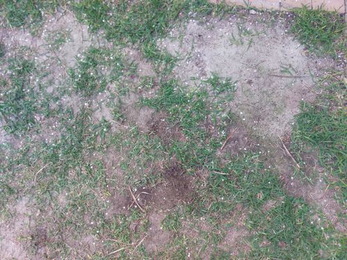 20250918_172849.jpg 20250918_172849.jpg