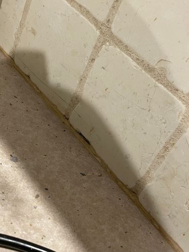 IMG_0639.jpeg IMG_0639.jpeg