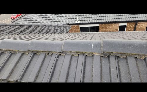 IMG_5151.jpeg IMG_5151.jpeg