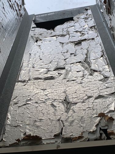 IMG_7056.jpeg IMG_7056.jpeg