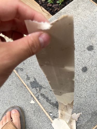 BF20F7D6-AB32-4852-BEC5-8A020B31F500.jpeg BF20F7D6-AB32-4852-BEC5-8A020B31F500.jpeg