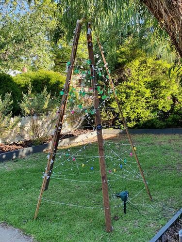 20201209_180317.jpg 20201209_180317.jpg