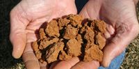 ClaySoil.jpg ClaySoil.jpg