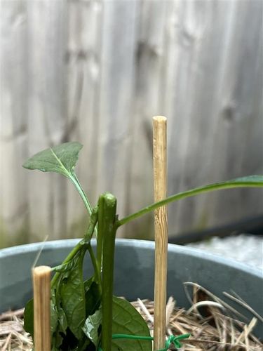 df3f07a9-c031-4e14-8511-fa2cfcc5e7cd.jpg df3f07a9-c031-4e14-8511-fa2cfcc5e7cd.jpg