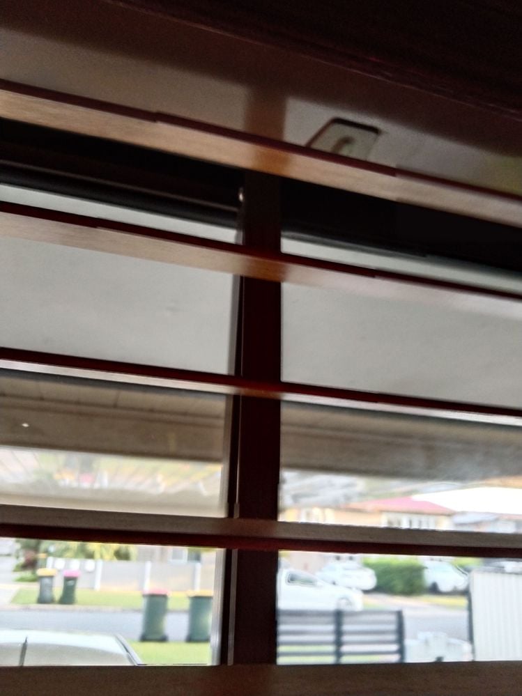 IMG_20241223_053307.jpg IMG_20241223_053307.jpg