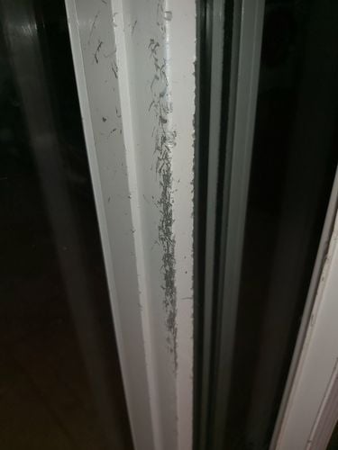 IMG_20210703_112435.jpg IMG_20210703_112435.jpg