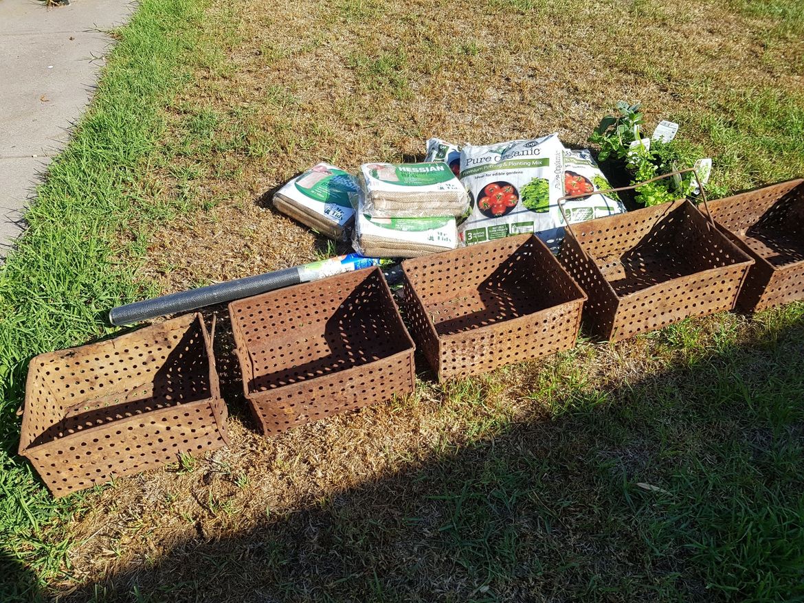 20180428_134636_resized.jpg 20180428_134636_resized.jpg