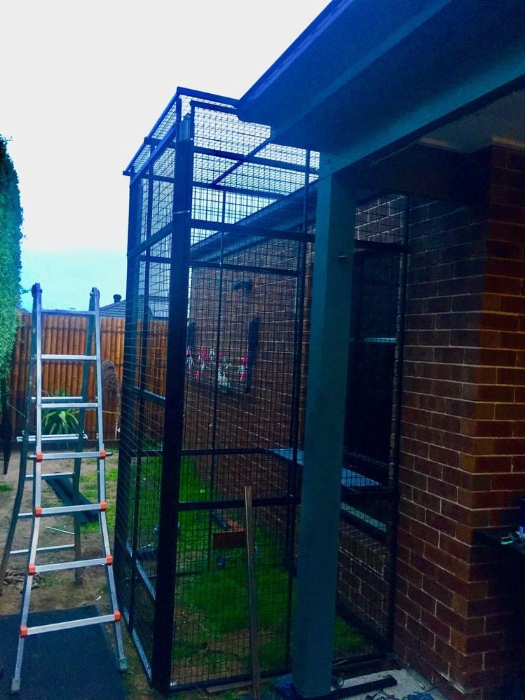 Indoor to outdoor cat tower Indoor to outdoor cat tower