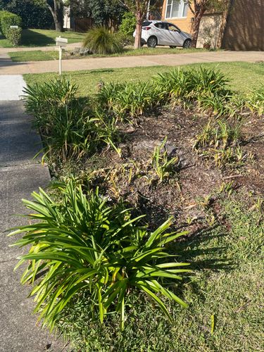 IMG_1449.jpeg IMG_1449.jpeg