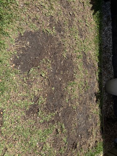 IMG_3102.jpeg IMG_3102.jpeg