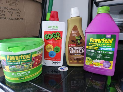 20240707_092945.jpg 20240707_092945.jpg