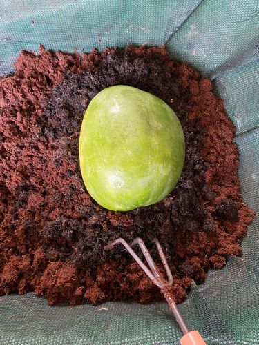 62F3E6EB-6D5A-4A21-9279-F423719164CC.jpeg 62F3E6EB-6D5A-4A21-9279-F423719164CC.jpeg