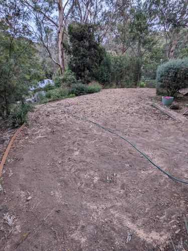 PXL_20241118_084735328.jpg PXL_20241118_084735328.jpg