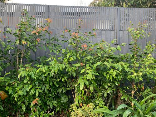 IMG_2094.jpeg IMG_2094.jpeg