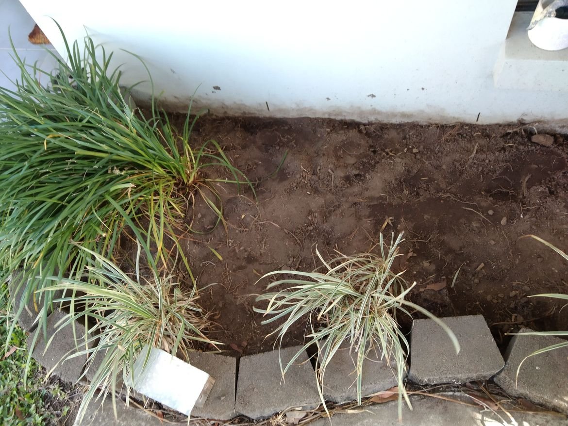 IMG_20241110_155502.jpg IMG_20241110_155502.jpg