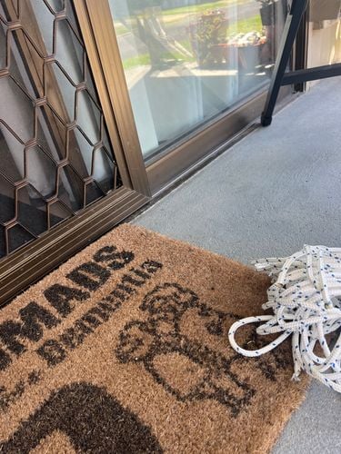 IMG_4380.jpeg IMG_4380.jpeg