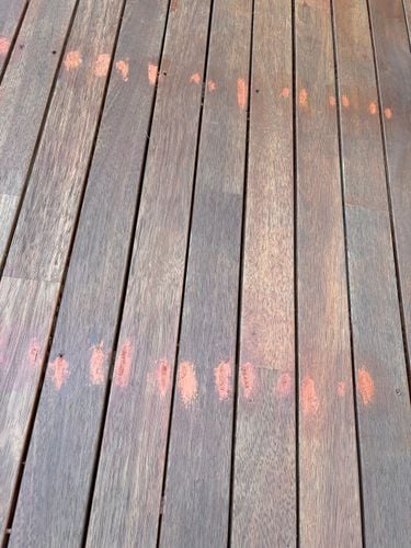 IMG_8452.jpeg IMG_8452.jpeg