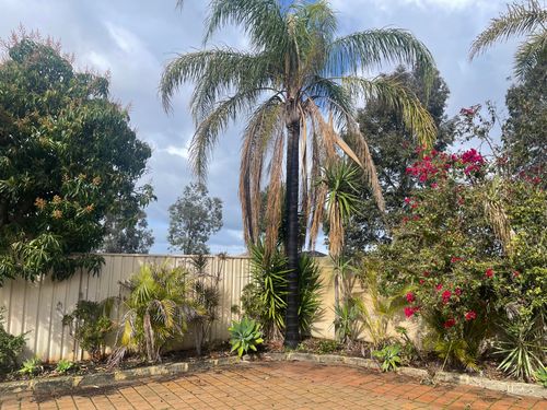 IMG_1927.jpeg IMG_1927.jpeg