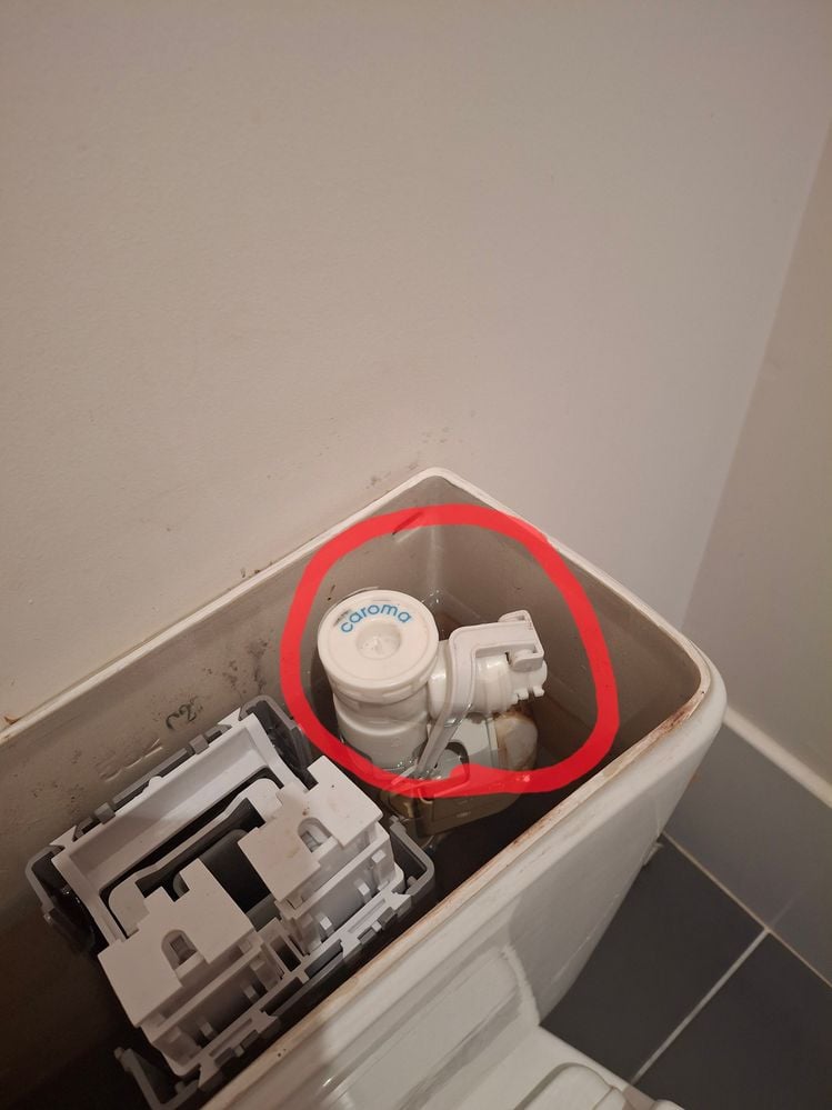 20250826_105604.jpg 20250826_105604.jpg