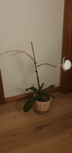 20240122_215313.jpg 20240122_215313.jpg