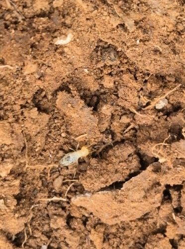 Screenshot_20251218_002008_Gallery.jpg Screenshot_20251218_002008_Gallery.jpg