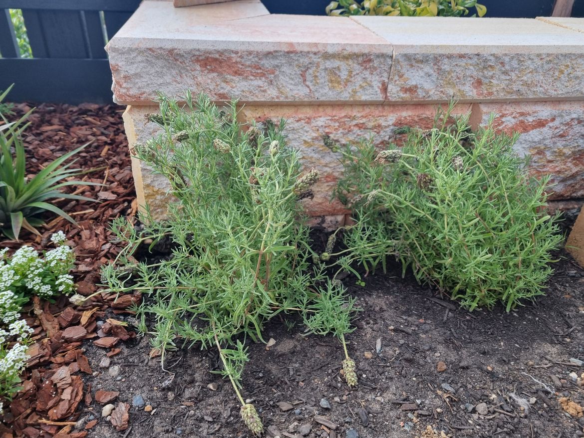 20241108093915.jpg 20241108093915.jpg