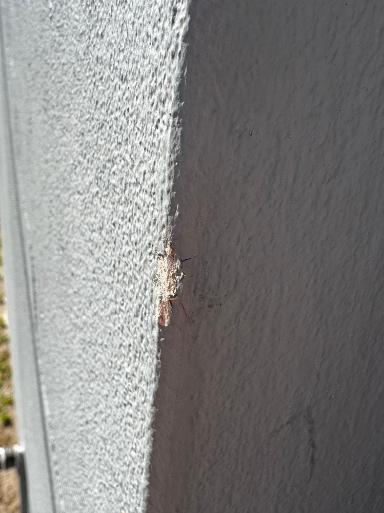 IMG_4133.jpg IMG_4133.jpg