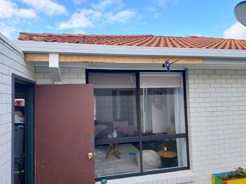 20231229_081101.jpg 20231229_081101.jpg