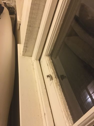 891FD8E6-7899-4772-9657-0EDCA2E6C7AA.jpeg 891FD8E6-7899-4772-9657-0EDCA2E6C7AA.jpeg