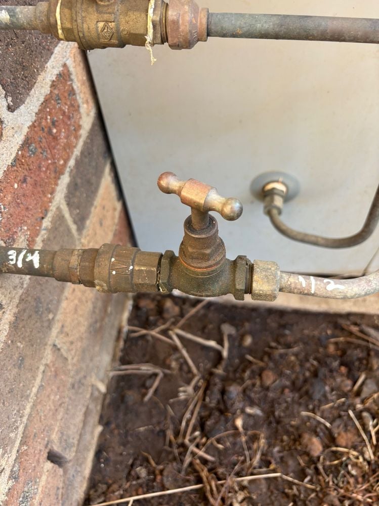 IMG_4443.jpg IMG_4443.jpg