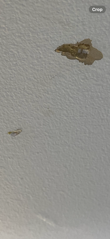 IMG_9600.PNG IMG_9600.PNG