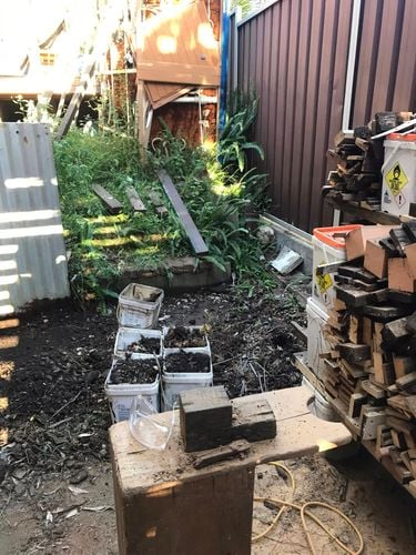 11 25-04-2024.jpg 11 25-04-2024.jpg