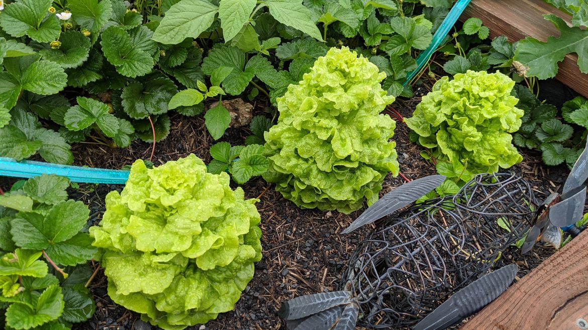 IMG_20200205_100520.jpg IMG_20200205_100520.jpg