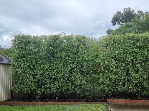 20231125_144956.jpg 20231125_144956.jpg