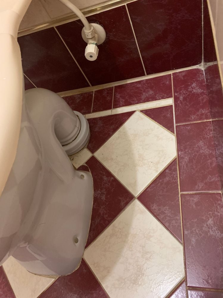 IMG_2302 (2).jpg IMG_2302 (2).jpg