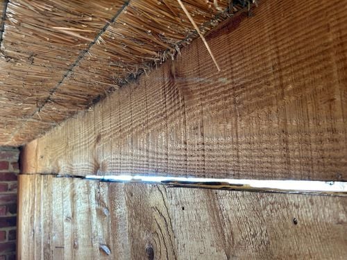 IMG_8857.jpeg IMG_8857.jpeg