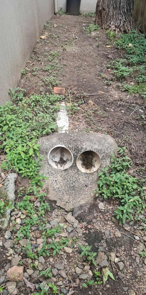 9gOp6713.jpg 9gOp6713.jpg