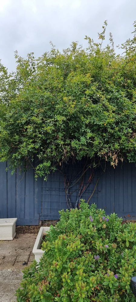 WhatsApp Image 2022-01-05 at 12.48.15 (1).jpeg WhatsApp Image 2022-01-05 at 12.48.15 (1).jpeg