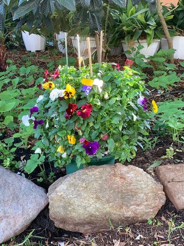 058E1C2F-8EE2-479F-BF50-2F0969AA1281.jpeg 058E1C2F-8EE2-479F-BF50-2F0969AA1281.jpeg