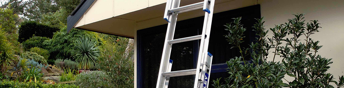 Hero 1.png Hero 1.png