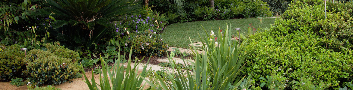 Hero Image Test Blog (81).png Hero Image Test Blog (81).png