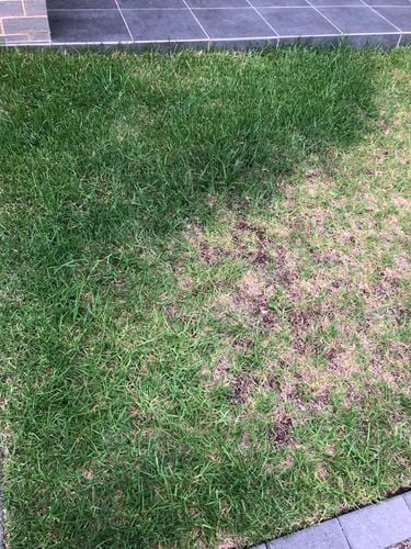 IMG_5164.jpeg IMG_5164.jpeg