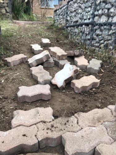 10 13-08-2023.jpg 10 13-08-2023.jpg