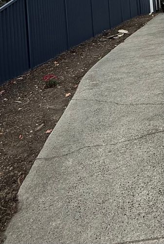 IMG_1296.jpeg IMG_1296.jpeg