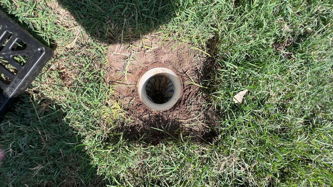 IMG_7206.jpg IMG_7206.jpg