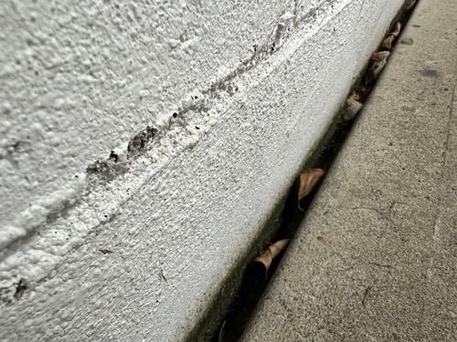 IMG_7406 Large.jpeg IMG_7406 Large.jpeg