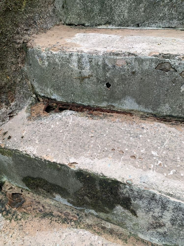 IMG_7151.jpg IMG_7151.jpg